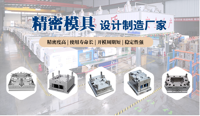 山東精密注塑模具設(shè)計(jì)制造加工生產(chǎn)廠家